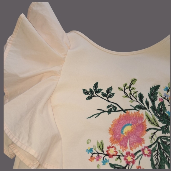 Zara Floral Mini Dress Embroidered Small - Picture 4 of 14